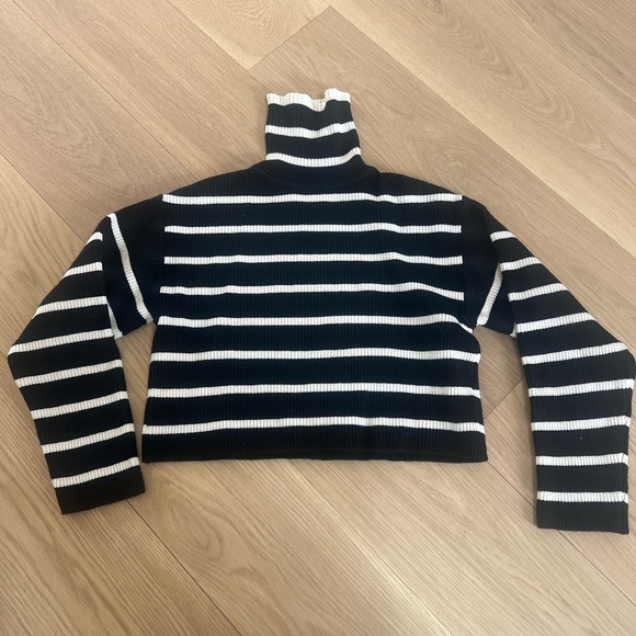 Zara Other - Zara Girls Black and White Striped Turtleneck Sweater